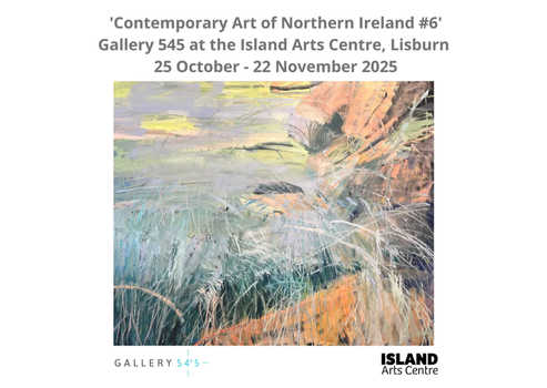 Contemporary Art of Northern Ireland #6