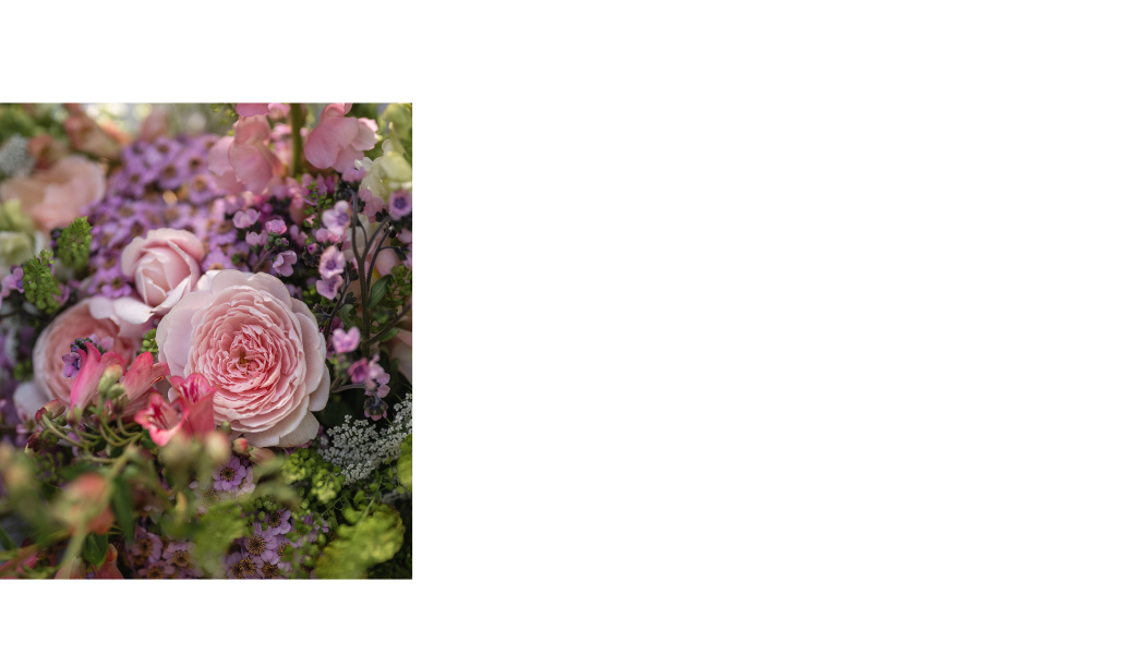 Untitled-design-(14).png Untitled-design-(14).png