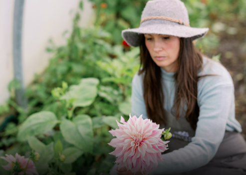 How a simple supper led me to ditch the scrubs to become a luxury flower farmer