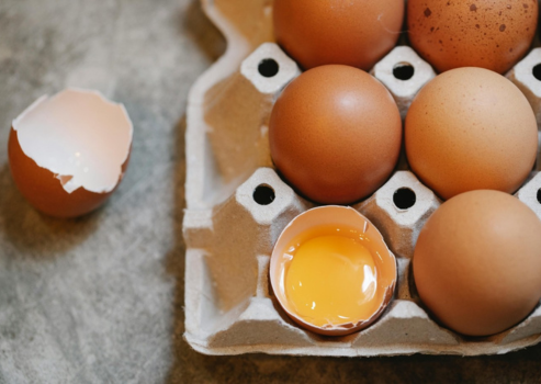 What’s All The Fuss Around Protein?