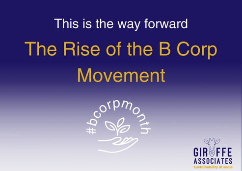 The Rise of the B Corp Movement and How (and Why) To Join It 