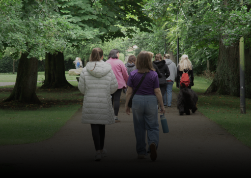Netwalk: Hillsborough Castle