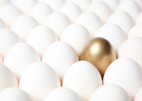 Employee Benefits: How They Can Elevate Your Business (No Matter the Size)