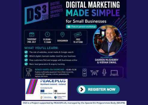 Free DS3 in-person workshop for small businesses