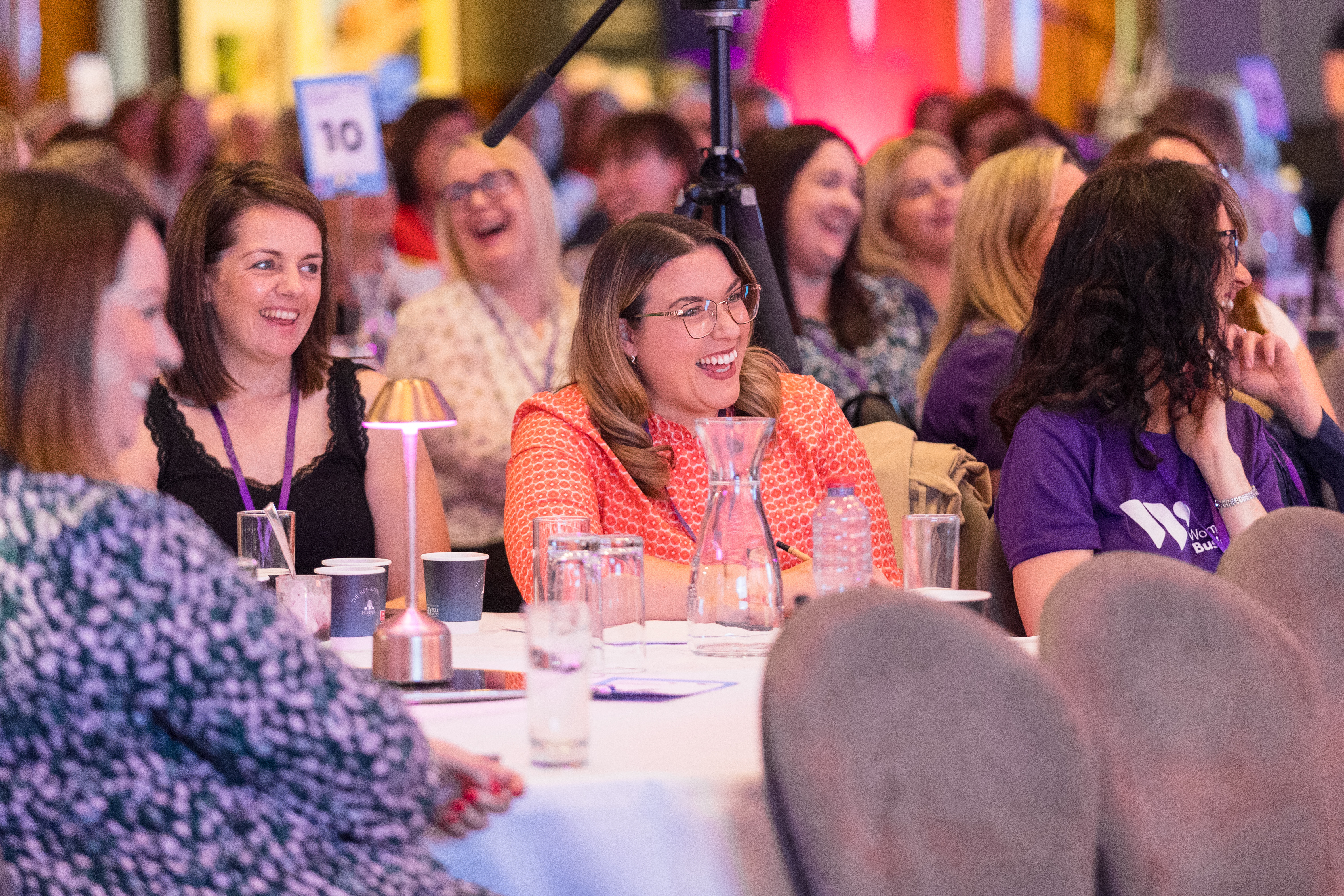 All-Island Female Entrepreneurs Conference 2024  