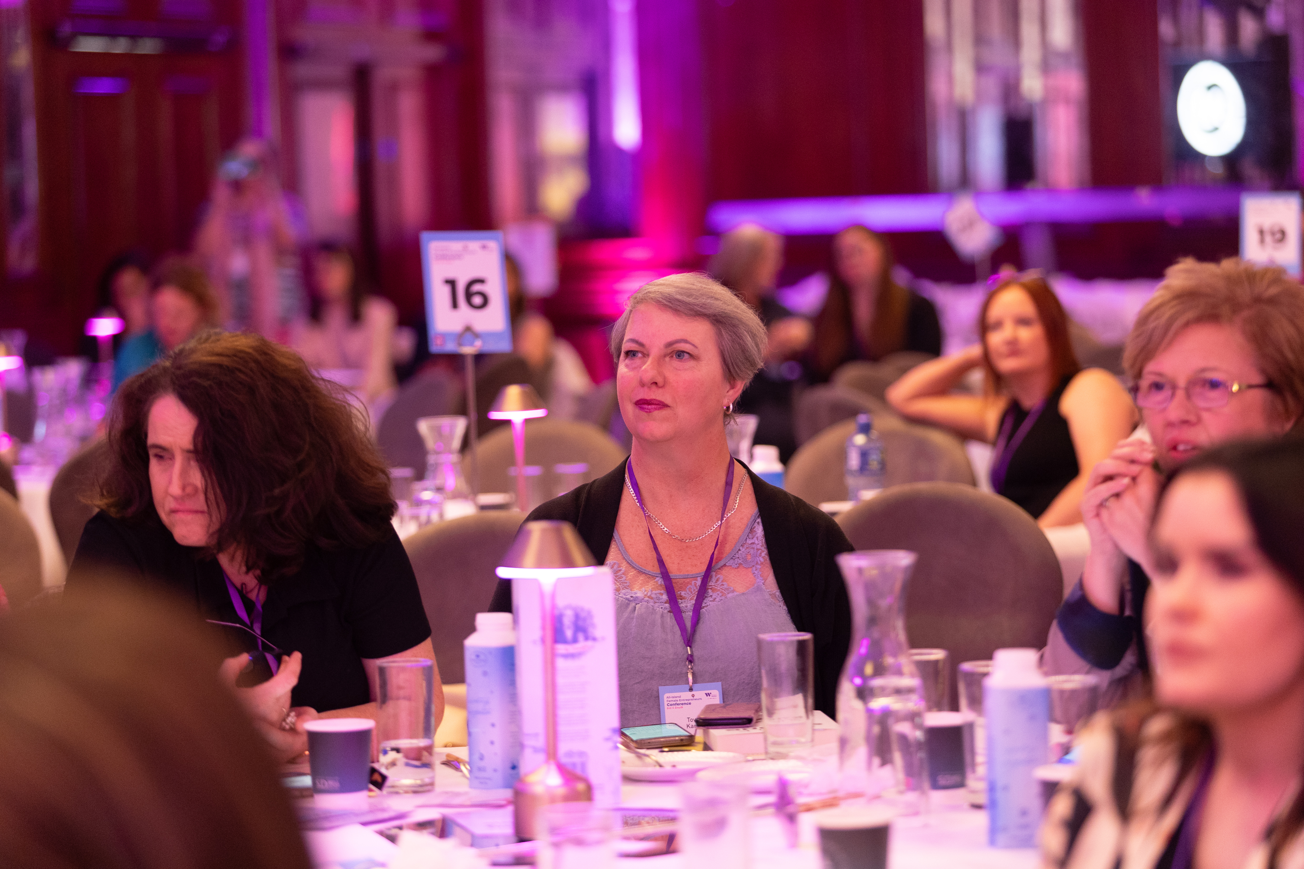 All-Island Female Entrepreneurs Conference 2024  