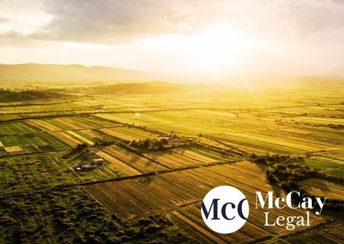 The Rising Value of Agricultural Land in Northern Ireland: Opportunities and Considerations
