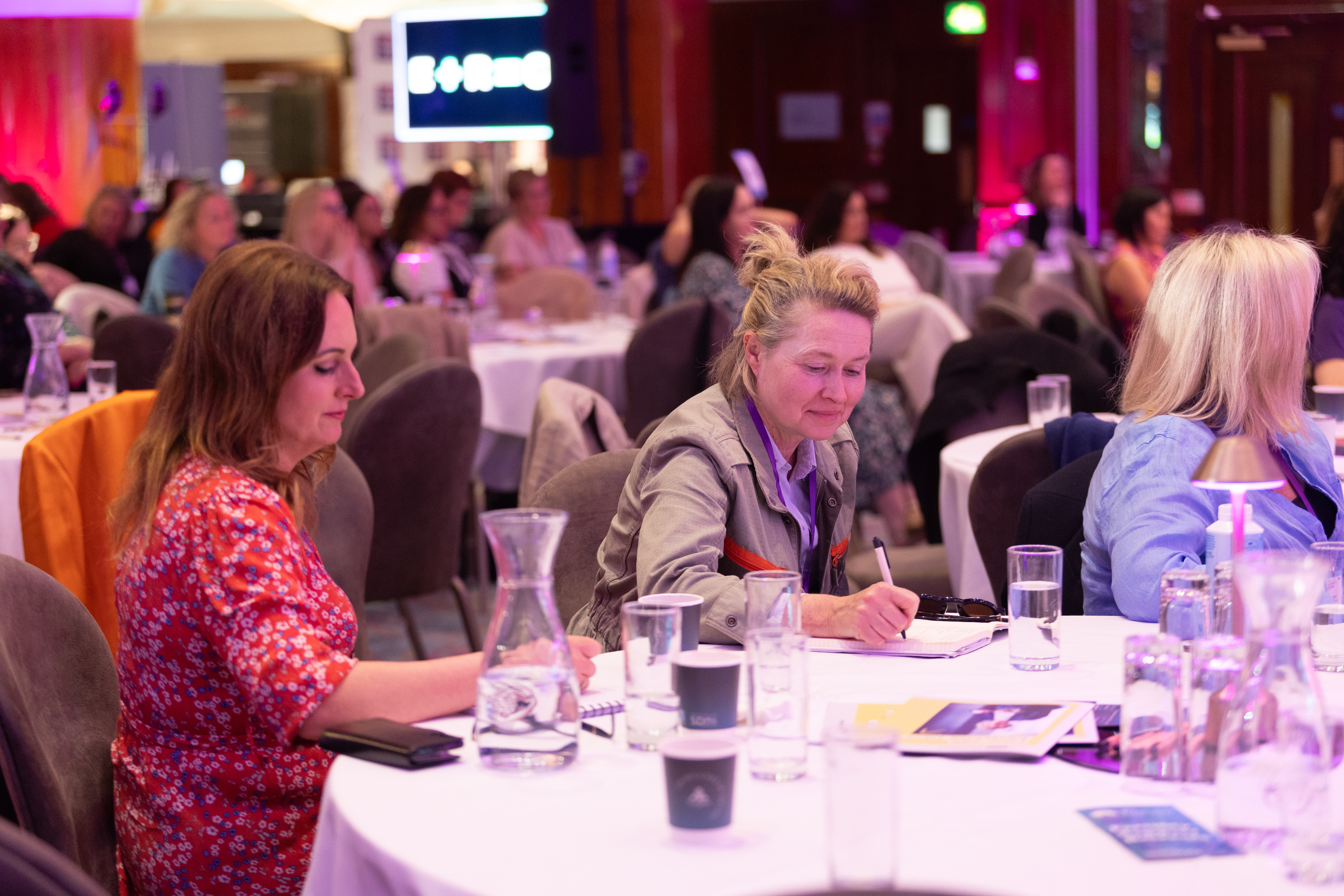 All-Island Female Entrepreneurs Conference 2024  