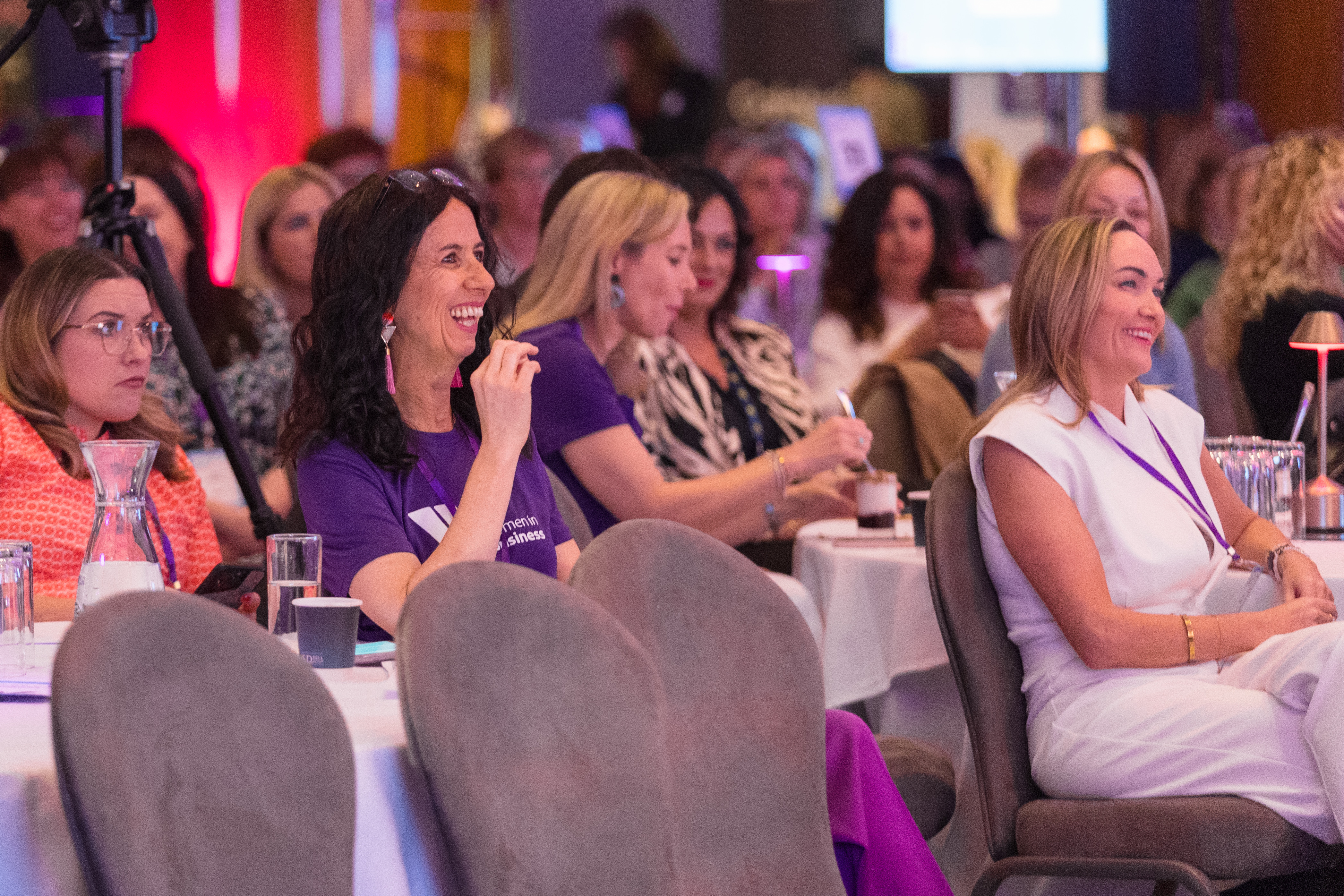 All-Island Female Entrepreneurs Conference 2024  