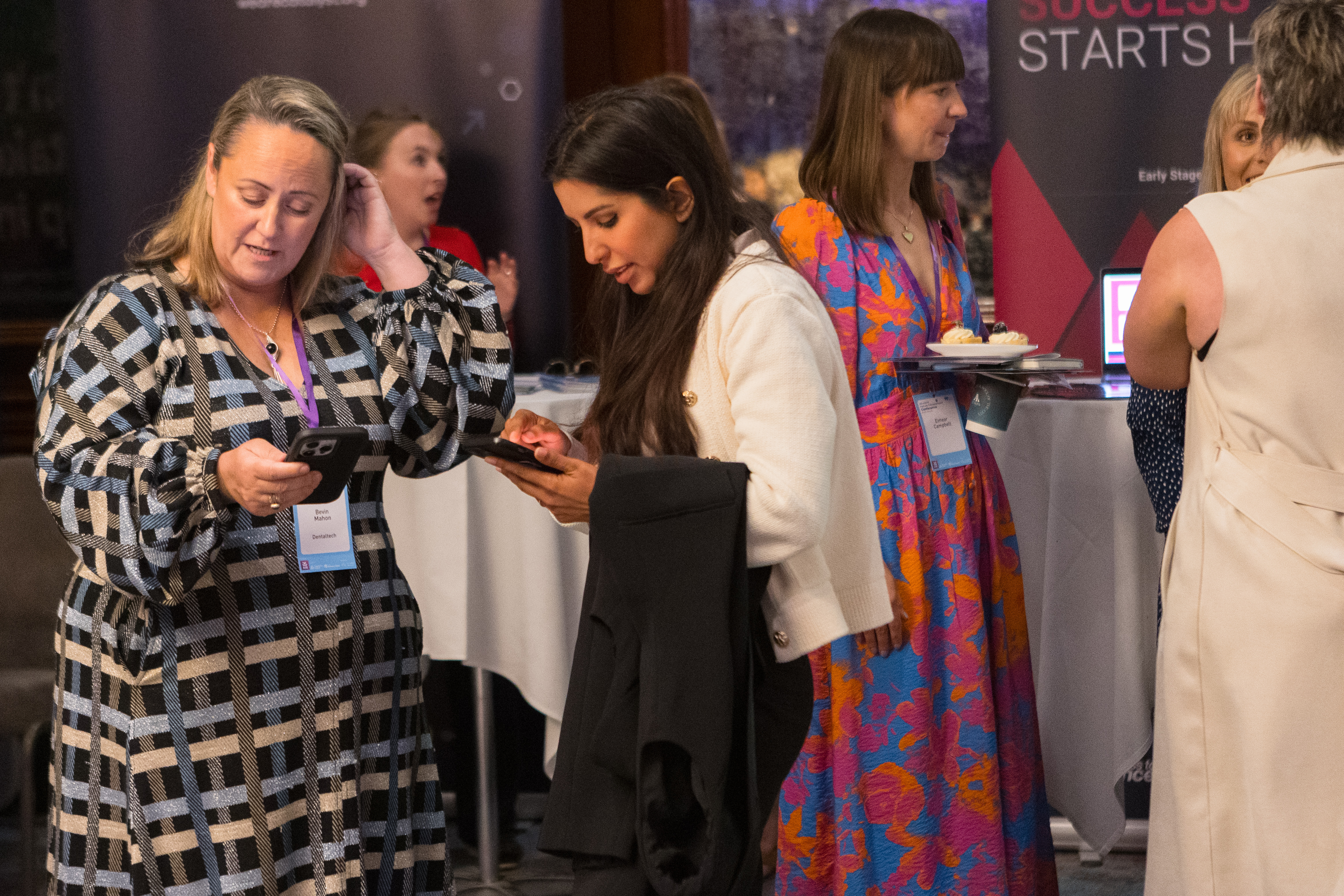 All-Island Female Entrepreneurs Conference 2024  