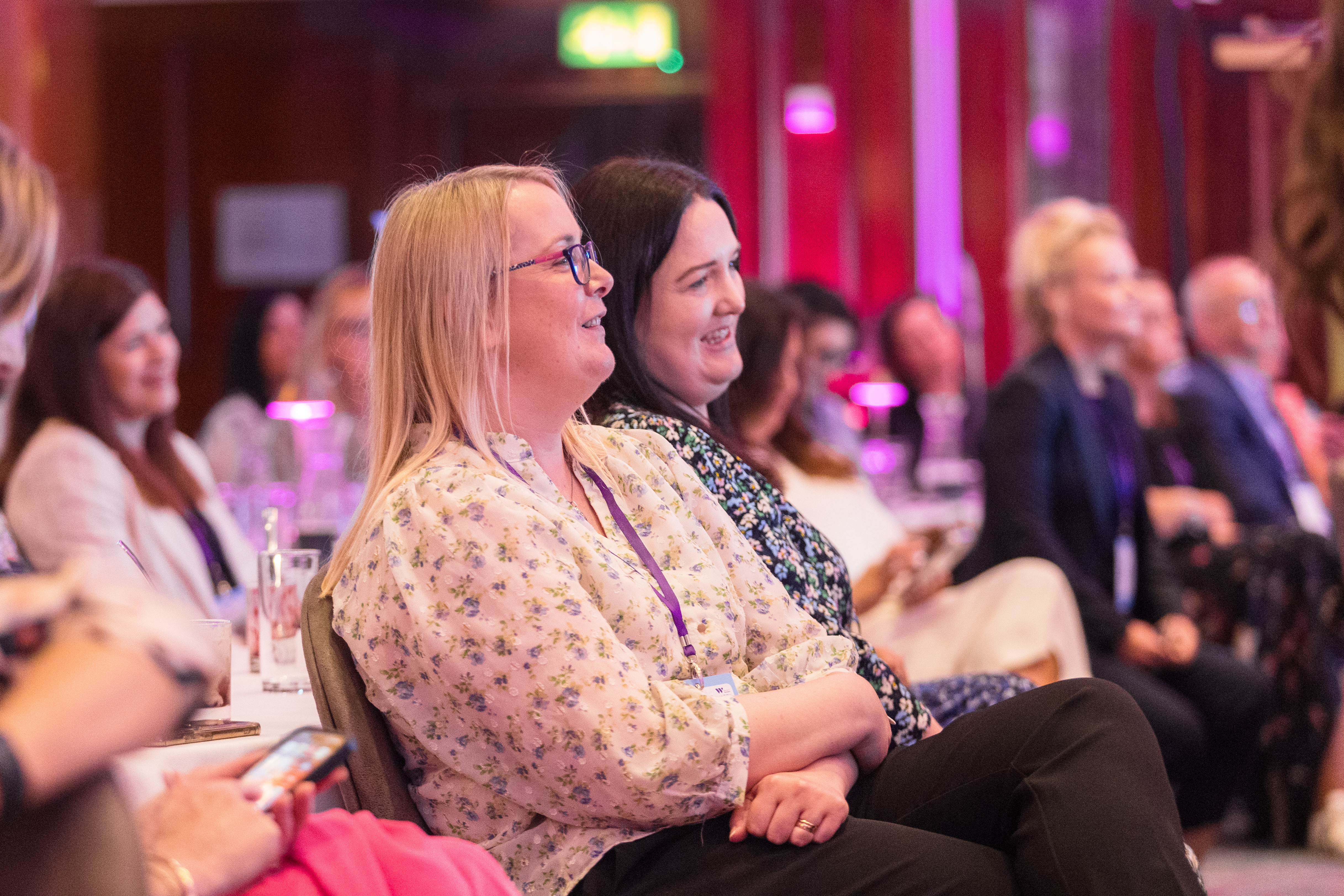 All-Island Female Entrepreneurs Conference 2024  