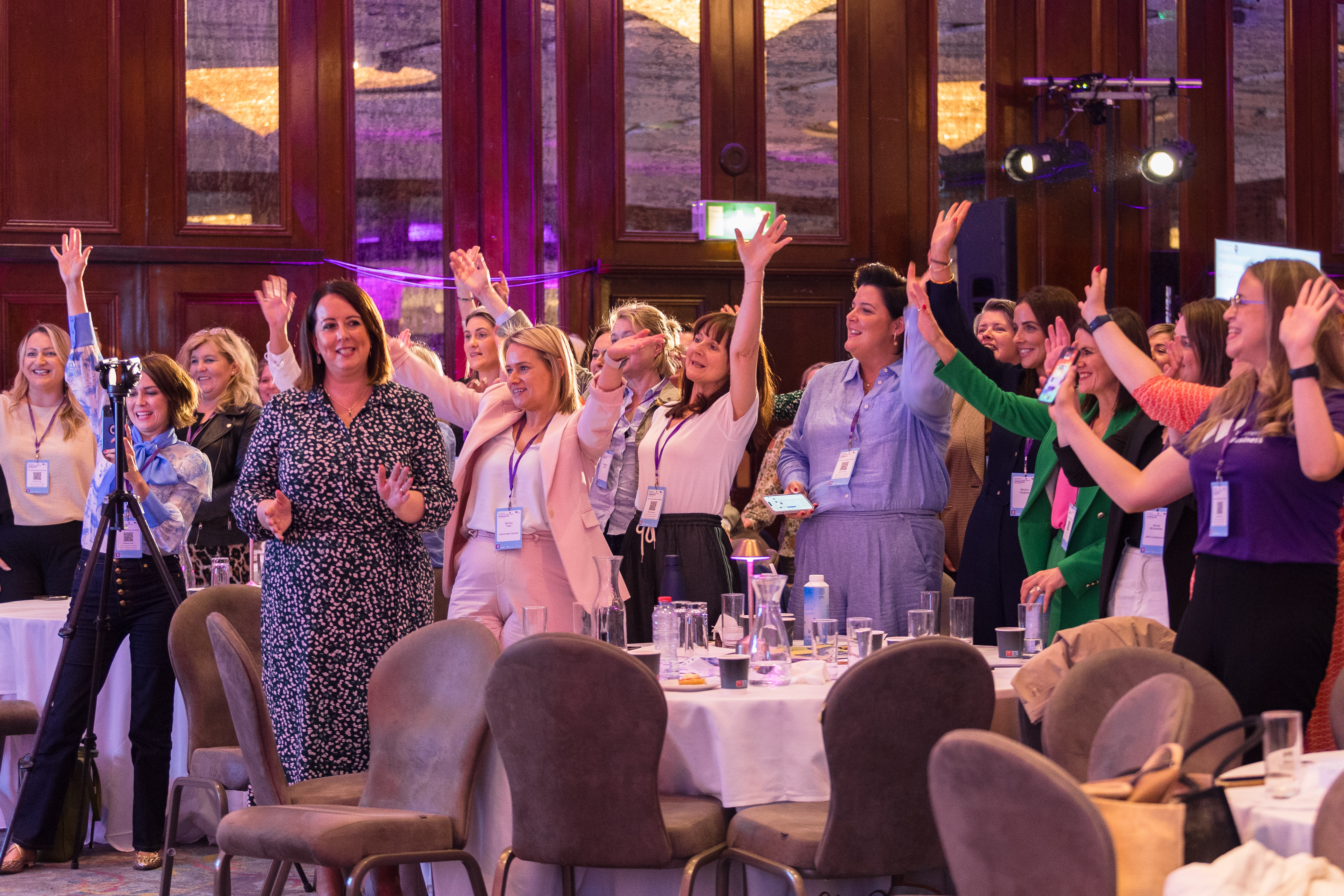 All-Island Female Entrepreneurs Conference 2024  