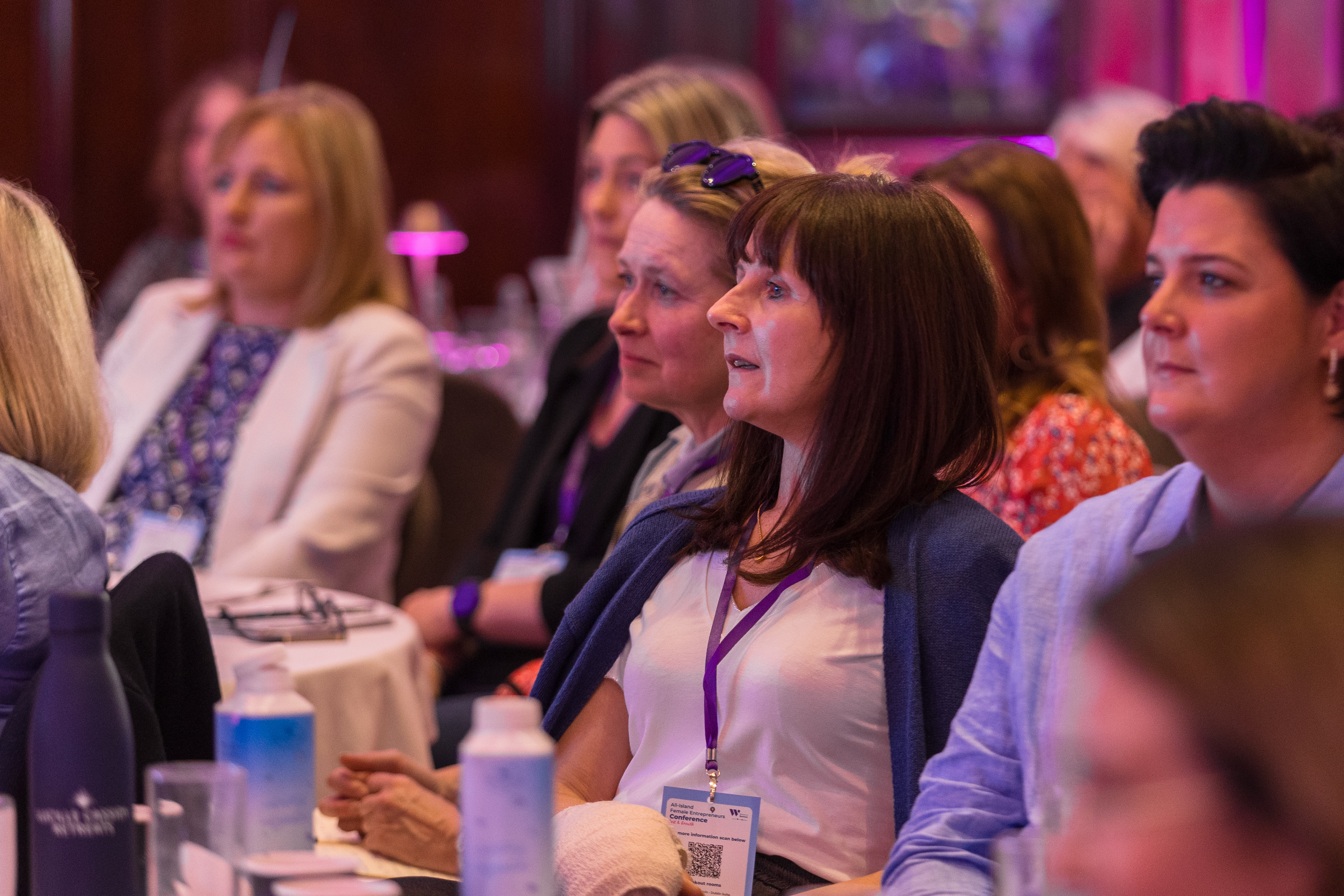 All-Island Female Entrepreneurs Conference 2024  