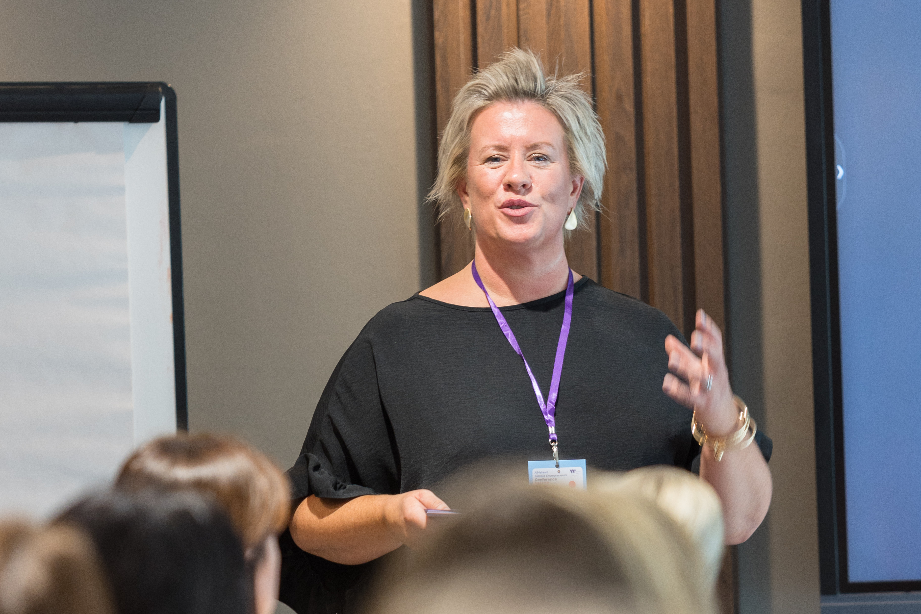 All-Island Female Entrepreneurs Conference 2024  