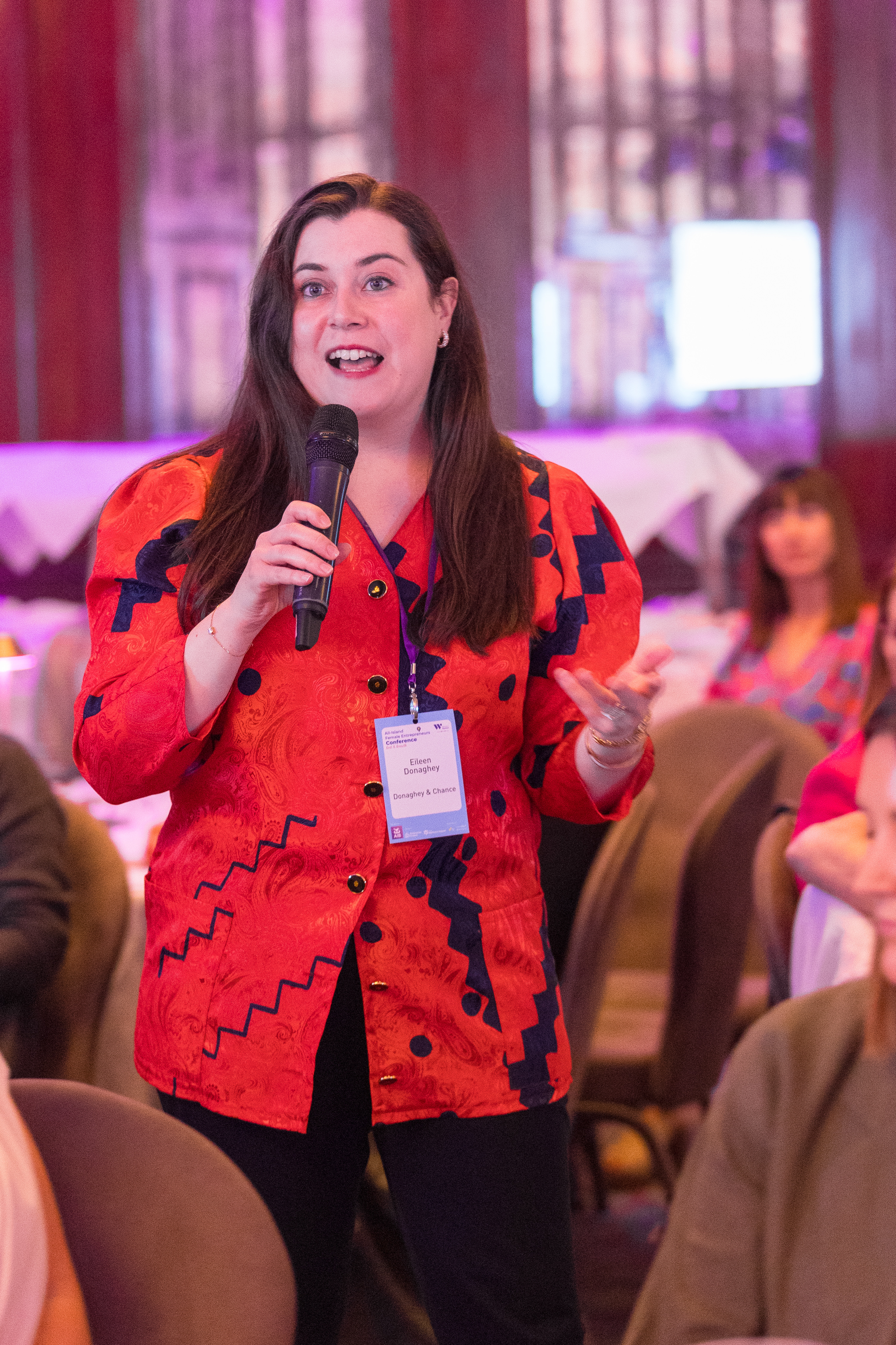 All-Island Female Entrepreneurs Conference 2024  