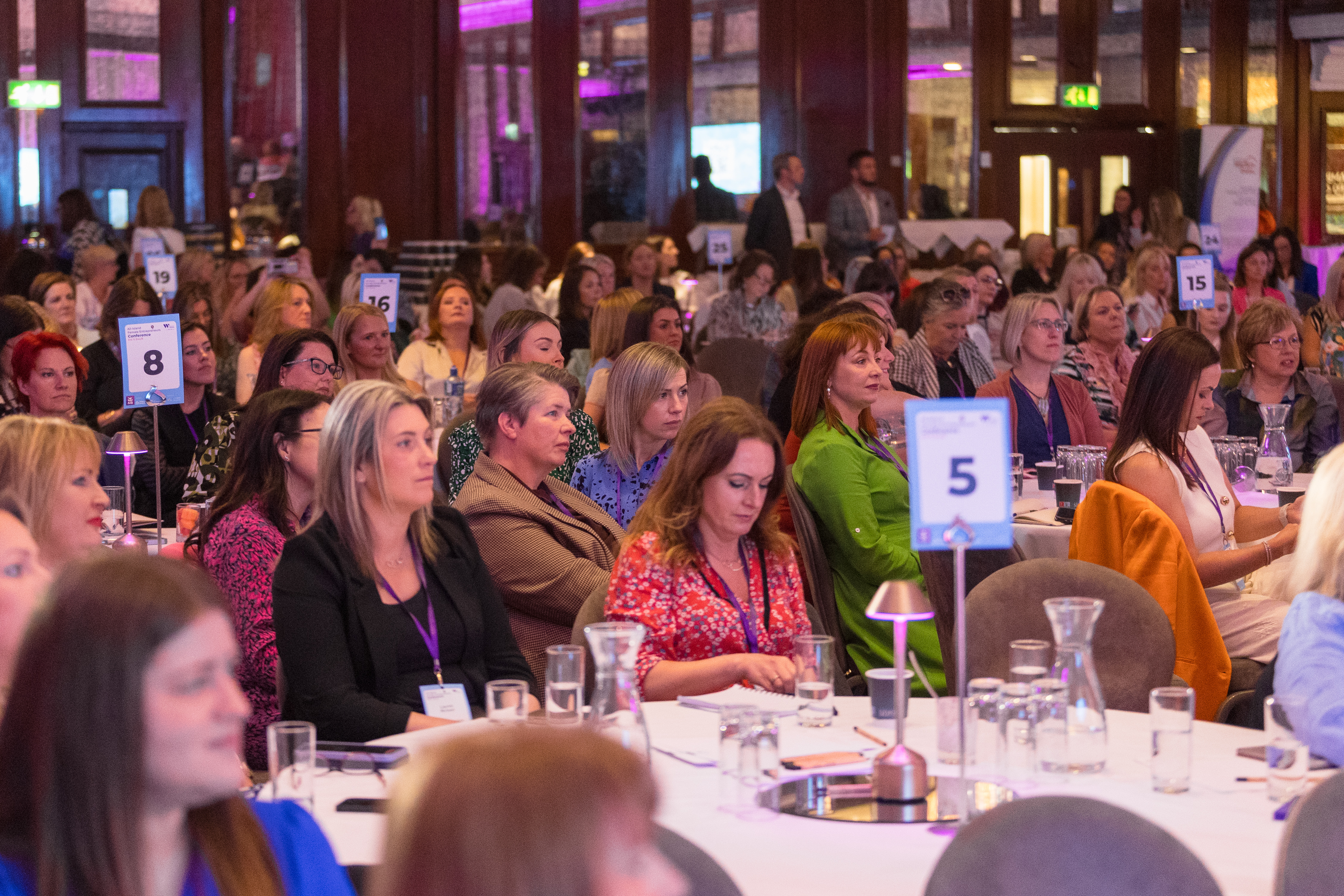 All-Island Female Entrepreneurs Conference 2024  