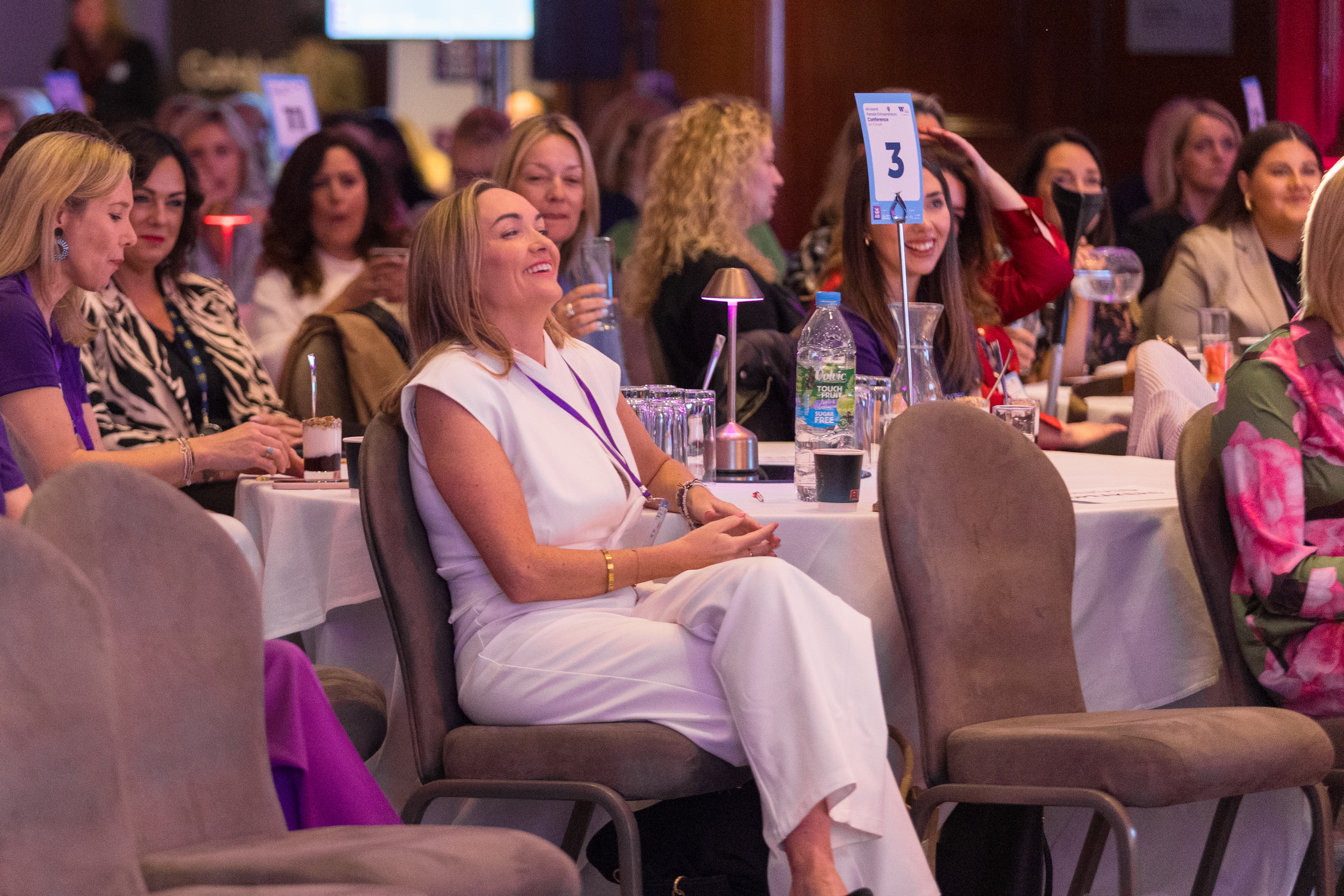 All-Island Female Entrepreneurs Conference 2024  