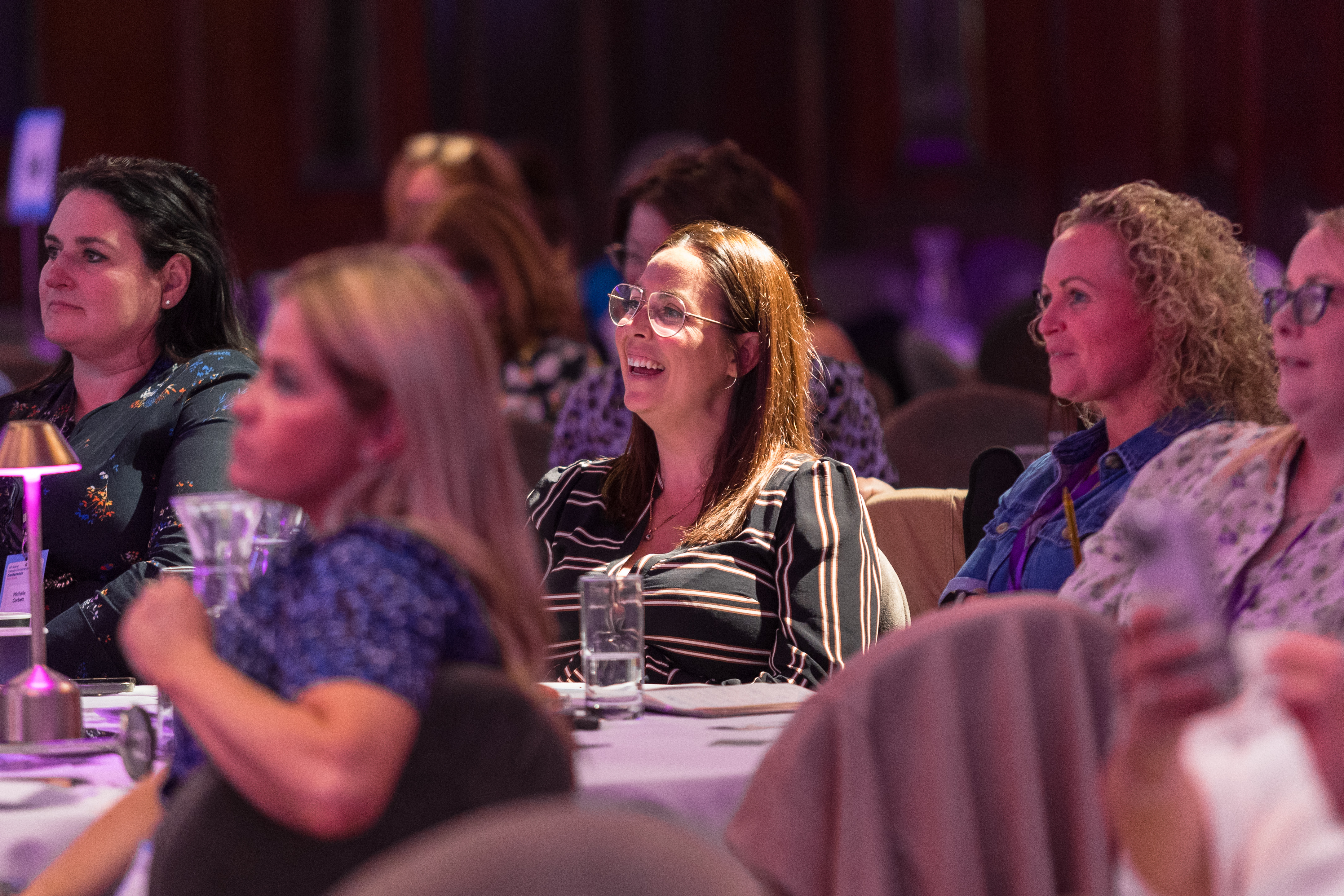 All-Island Female Entrepreneurs Conference 2024  