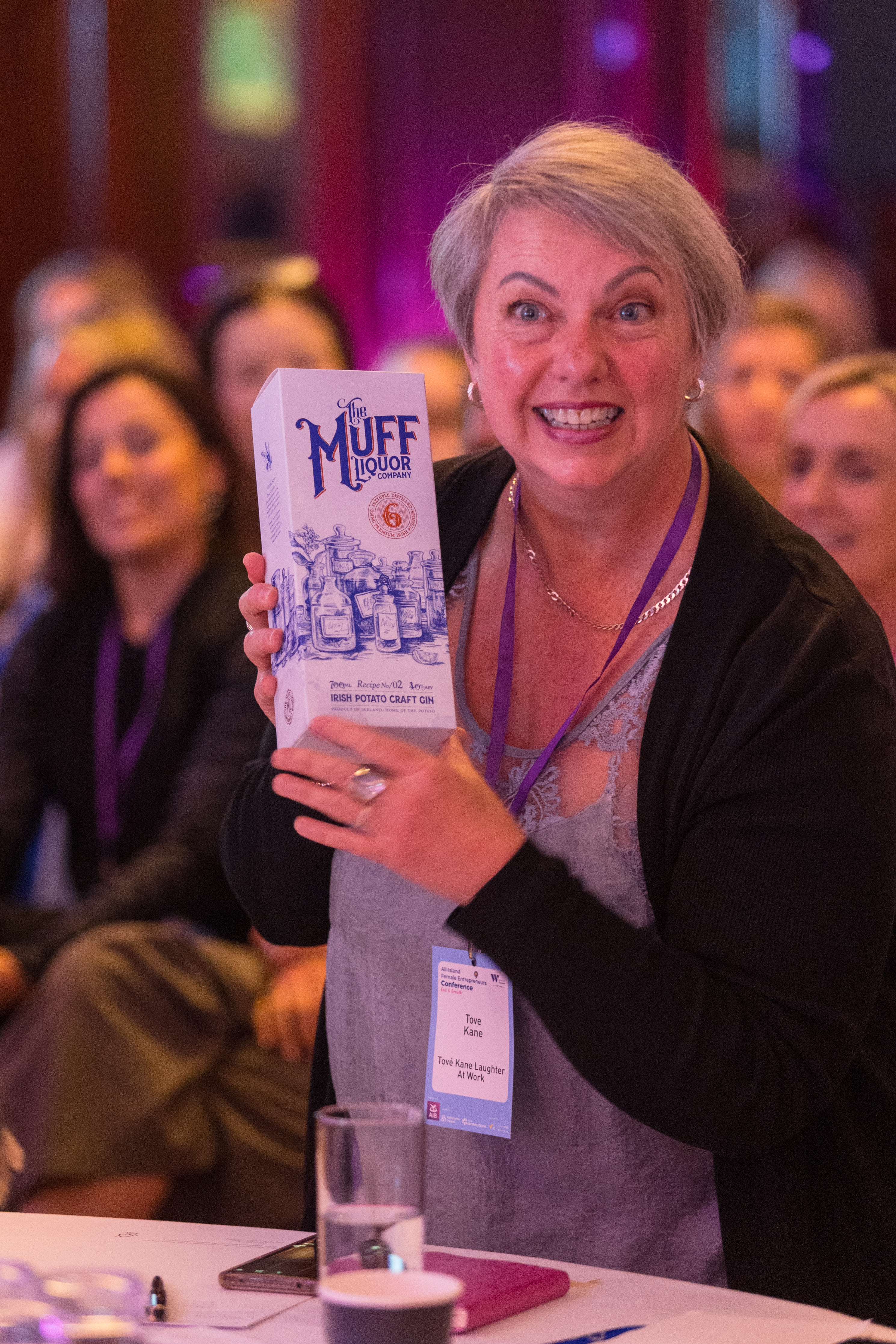 All-Island Female Entrepreneurs Conference 2024  