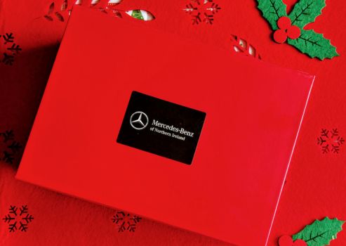 Ready to Sleigh Your Christmas Gifting? 🎁