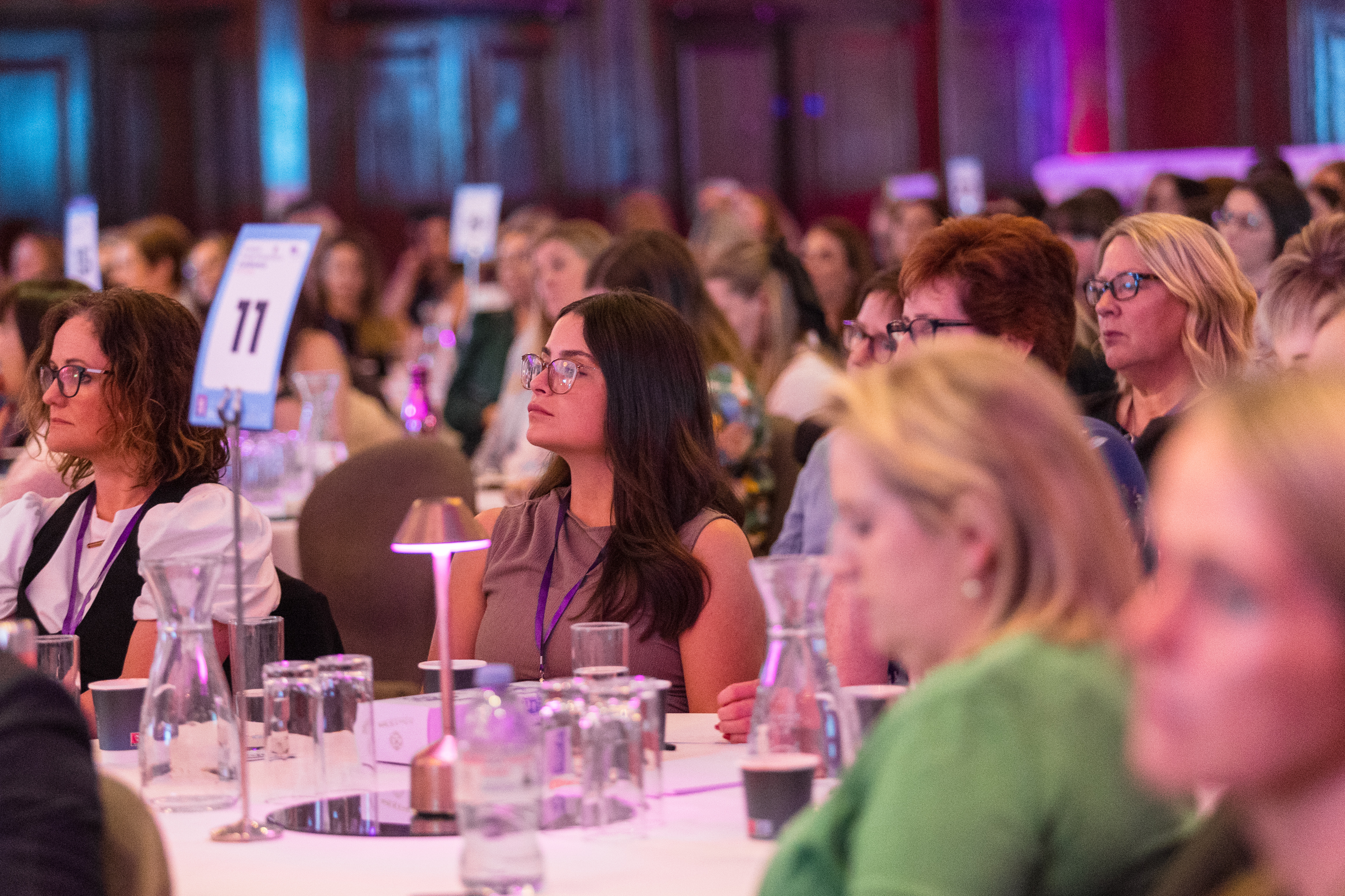 All-Island Female Entrepreneurs Conference 2024  