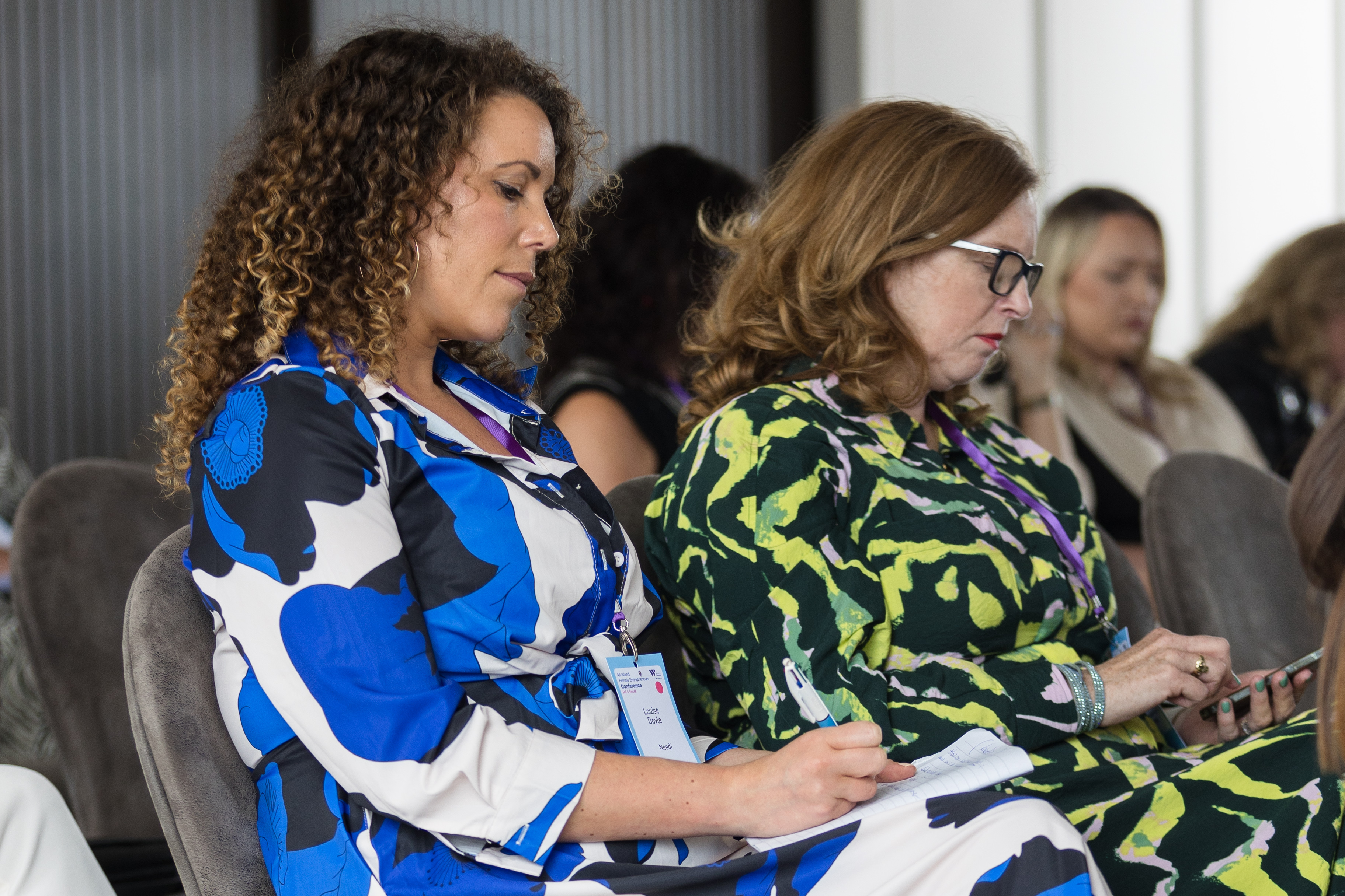 All-Island Female Entrepreneurs Conference 2024  